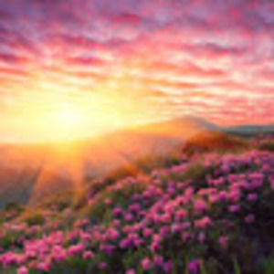 Meet your Posher, Whitney